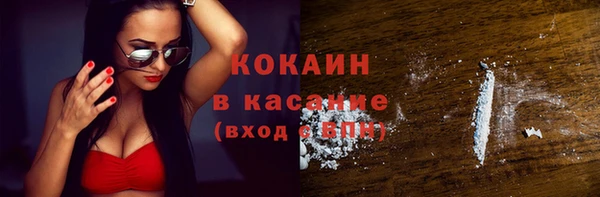 шишки Балахна
