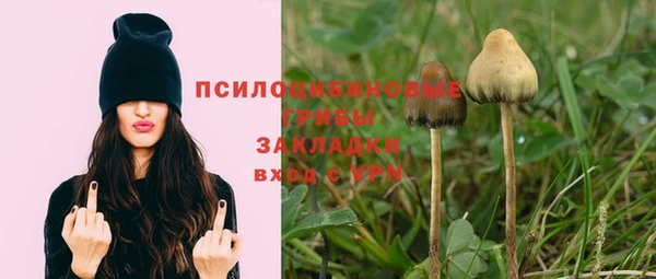 скорость Баксан