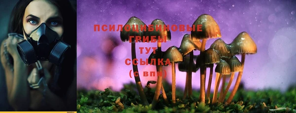 скорость Баксан