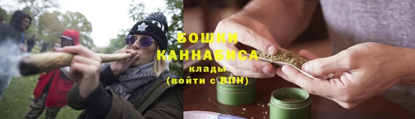 шишки Балахна