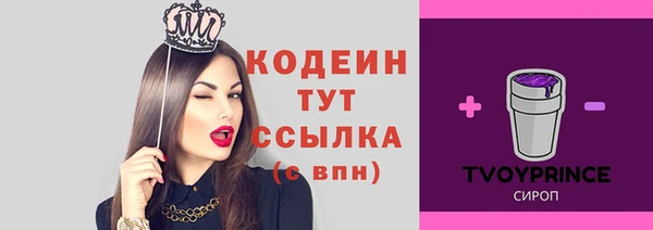 шишки Балахна